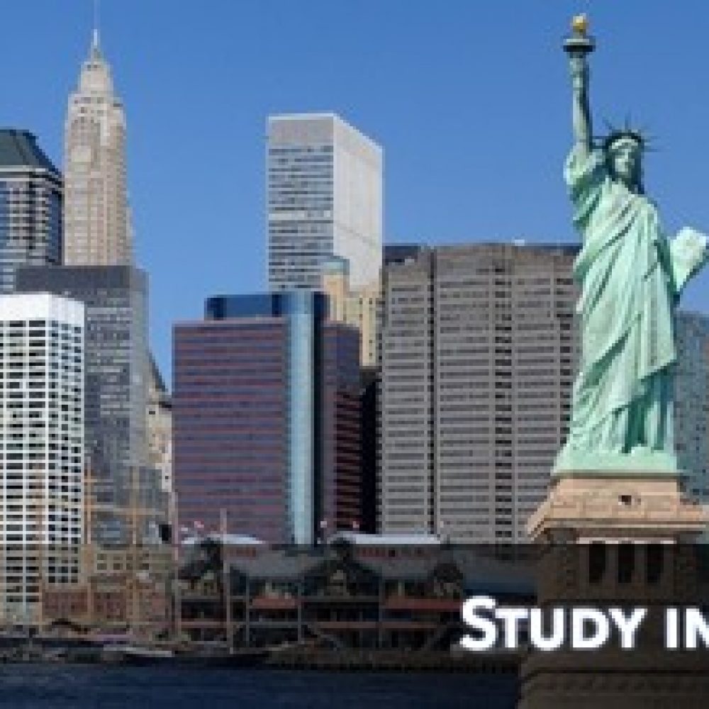 study-in-nyc